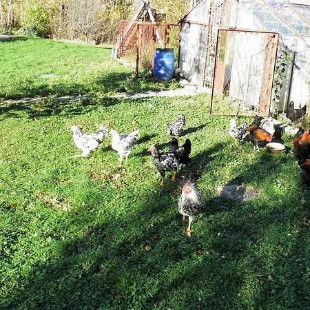 Podelniska Jaktstuga *