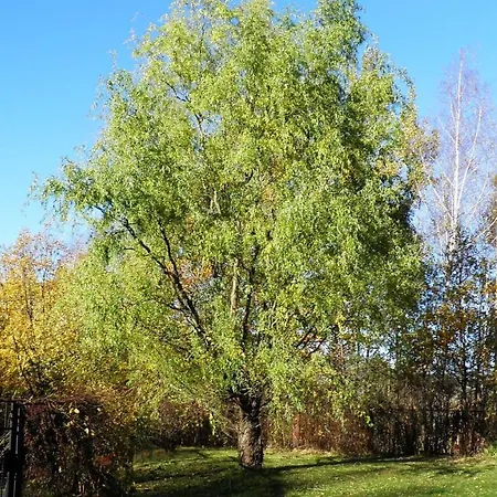 Podelniska * Porąbka