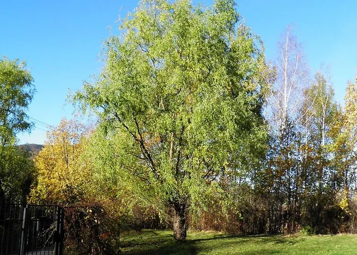 Podelniska * Porąbka